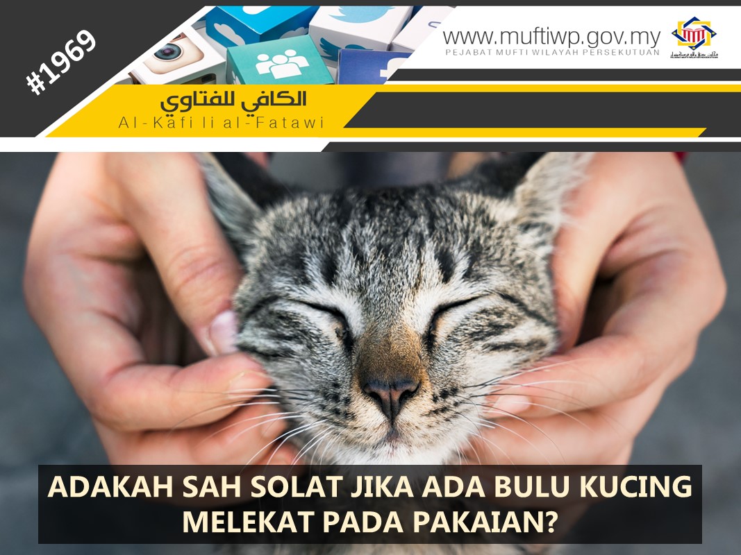 ADAKAH_SAH_SOLAT_JIKA_ADA_BULU_KUCING_MELEKAT_PADA_PAKAIAN.jpg