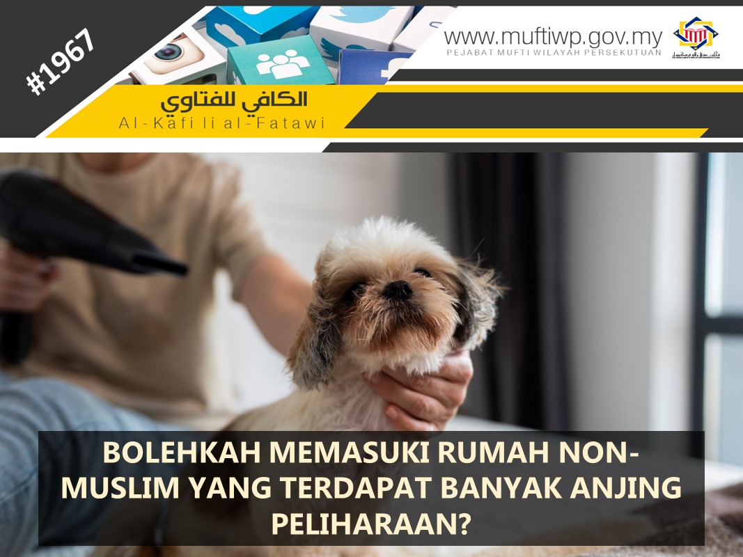 BOLEHKAH_MEMASUKI_RUMAH_NON-MUSLIM_YANG_TERDAPAT_BANYAK_ANJING_PELIHARAAN.jpg