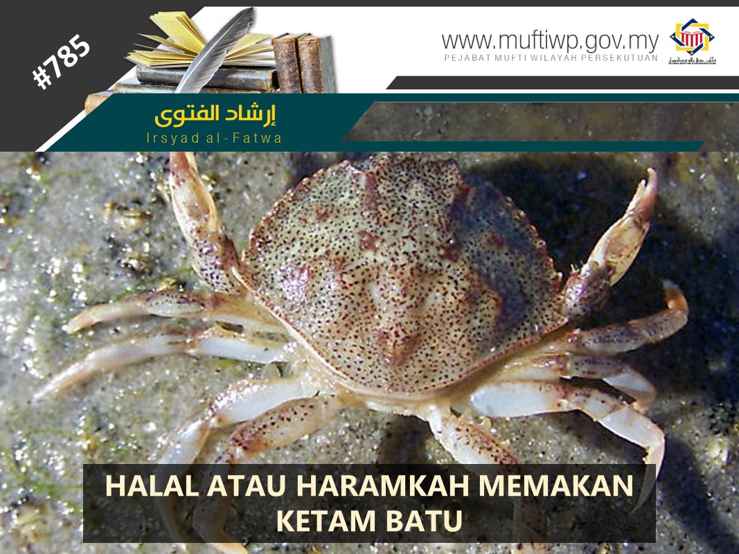 HALAL_ATAU_HARAMKAH_MEMAKAN_KETAM_BATU.jpg