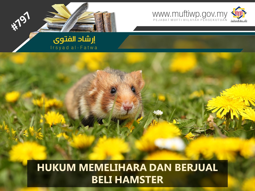 HUKUM_MEMELIHARA_DAN_BERJUAL_BELI_HAMSTER.jpg