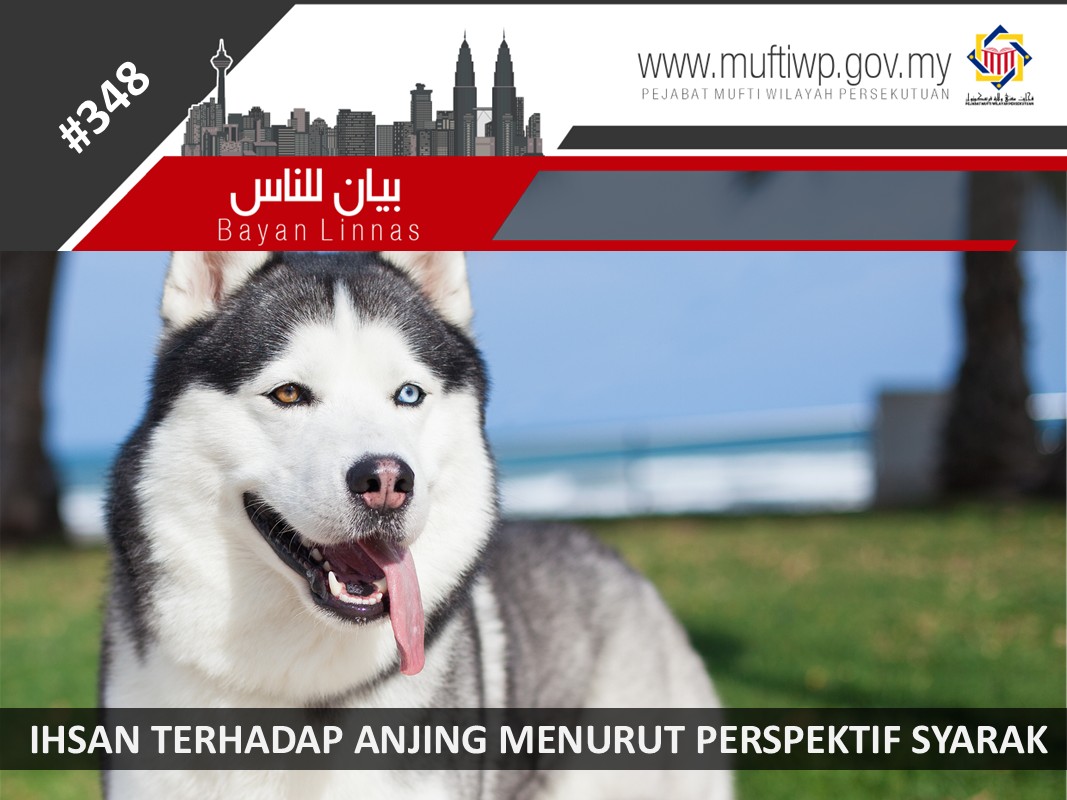 IHSAN_TERHADAP_ANJING_MENURUT_PERSPEKTIF_SYARAK.jpg