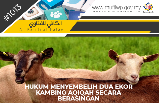 KAMBING AQIQAH.PNG