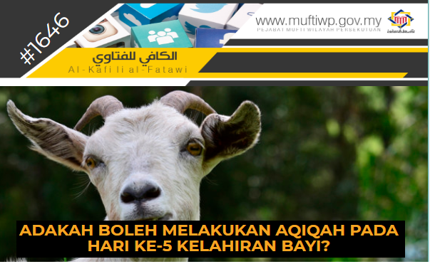 kambing 2