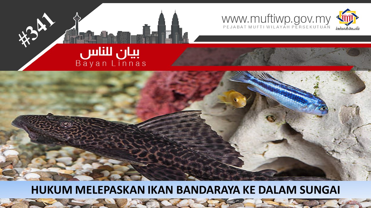 apakah_hukum_melepaskan_ikan_bandaraya_ke_sungai.JPG