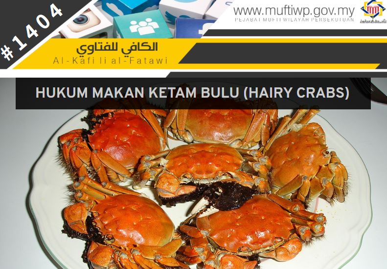 hukum makan ketam bulu.JPG